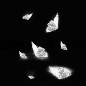 黑人无码又大又粗污污免费
